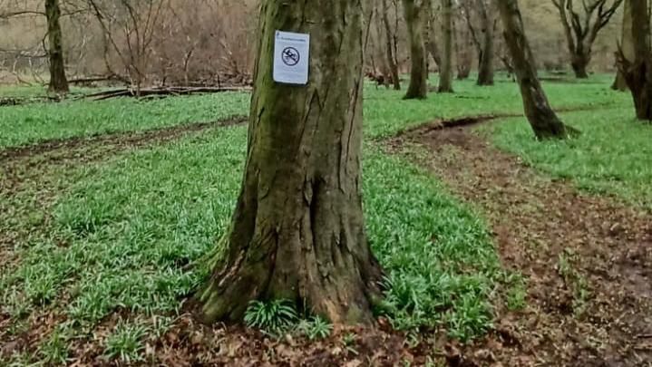 A sign on a tree at Astonbury Wood, near Stevenage, Hertfordshire