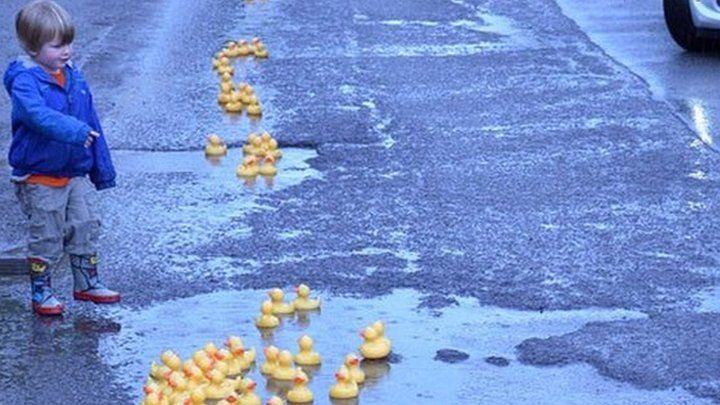 Ducks in potholes