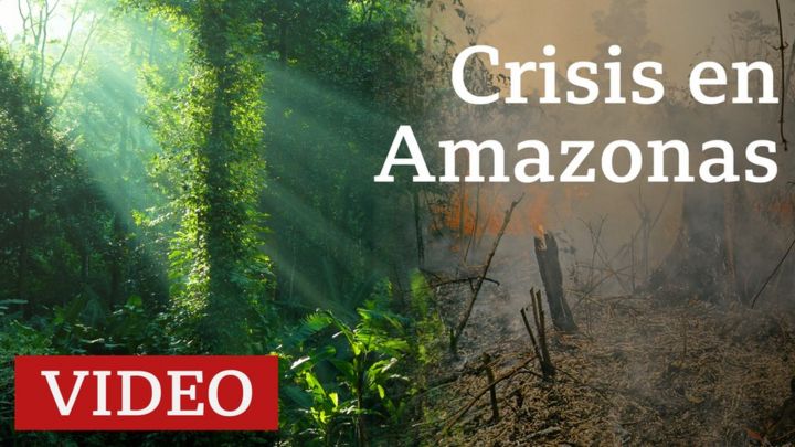 Incendios en el Amazonas: por qué importa esta región natural y lo que se sabe de cómo empezaron los incendios