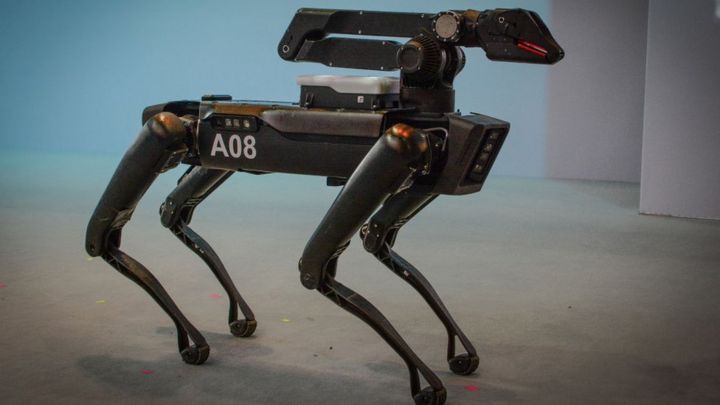 El polémico uso de "perros robot" por parte de la policía de ...