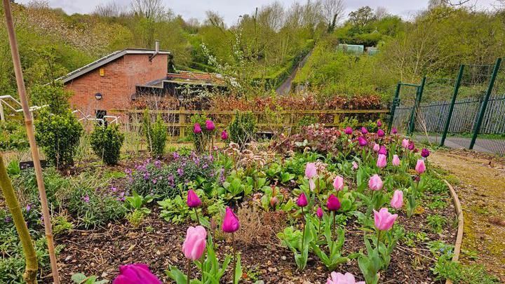 St Ann's Allotments