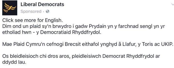 hysbyseb lib dem