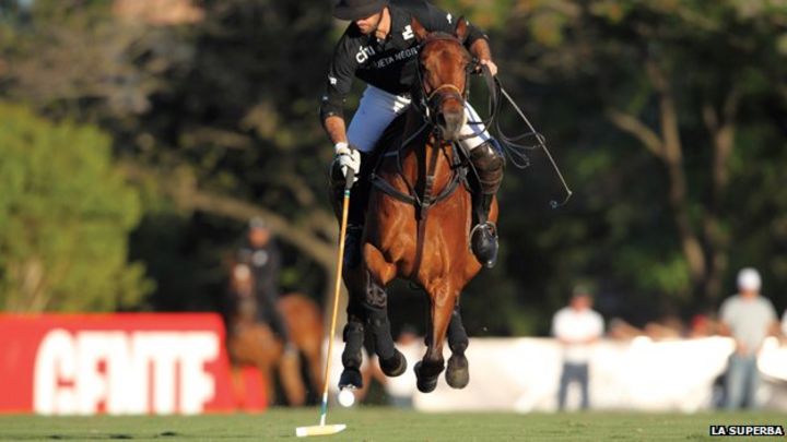 cost to play polo