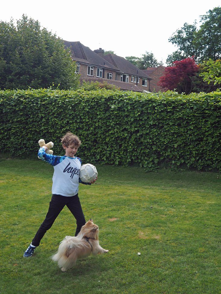 William playing in his garden with Teddy