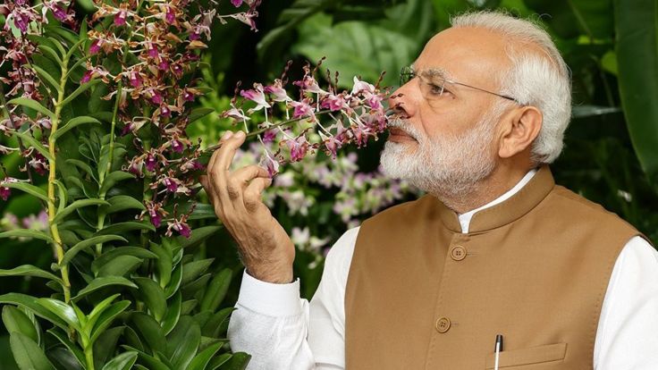 கொரோனா வைரஸ்: இந்திய பிரதமர் நரேந்திர மோதி பரிந்துரைத்த மருந்து தீர்வாகுமா?