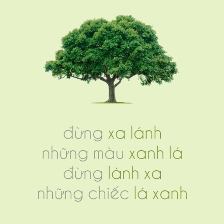 Hình từ một trang FB (@manfortree) vận động bảo vệ cây xanh ở VN
