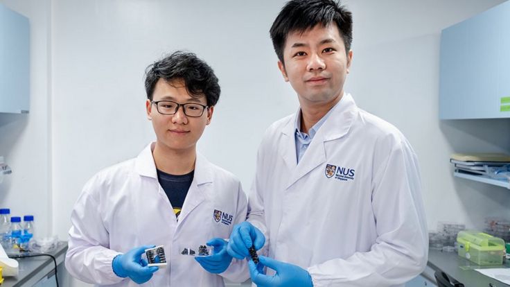 Chen Po-Yen (der.), profesor asistente de NUS y el estudiante de doctorado Yang Haitao