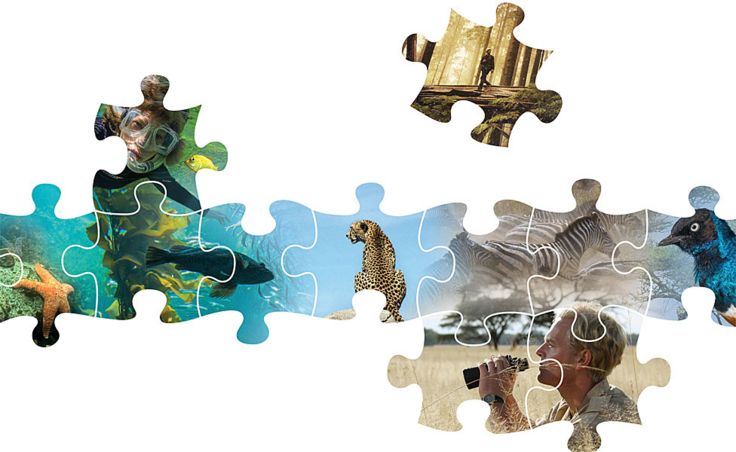 Detalle de afiche de la película "The Serengeti Rules"