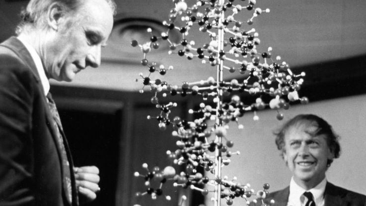Francis Crick (izquierda) y James Watson.