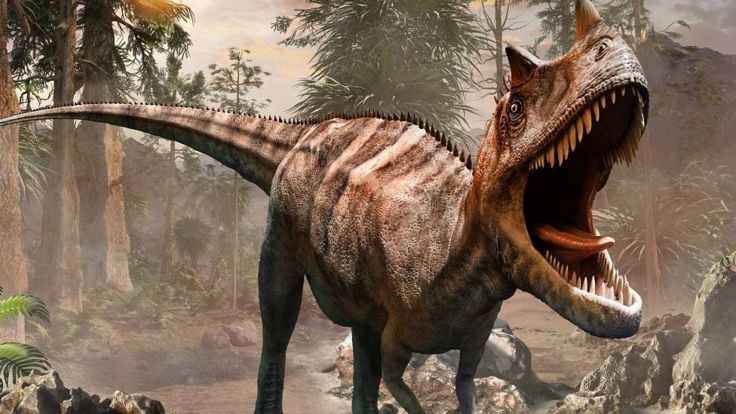 மனிதர்கள் அழிந்த பிறகு புவியில் என்னவெல்லாம் நிகழும்? - ஒரு டைம் ட்ராவல்