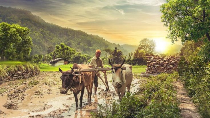 கொரோனா வைரஸ்: ஏப்ரல் 20 முதல் அமலுக்கு வரும் மத்திய அரசின் நெறிமுறைகள் இவைதான் - விரிவான தகவல்