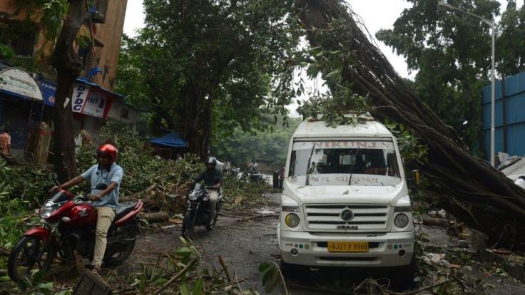 Motoristas pasan al lado de un vehículo dañado por la caída de un árbol en Mumbai.