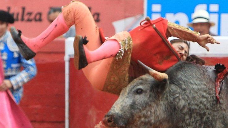 Karla de los Angeles is gored by a bull at the Plaza Mexico bullring on 28 December 2014