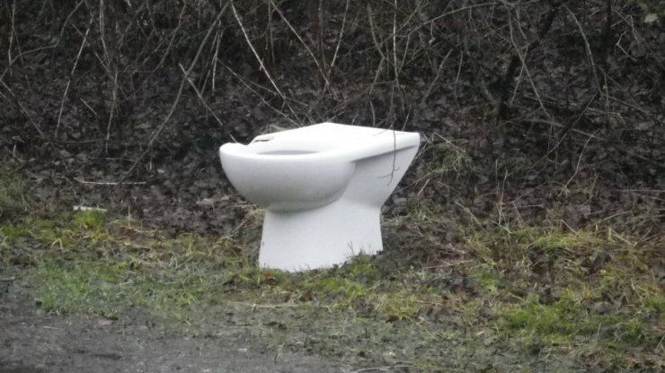 Dumped toilet