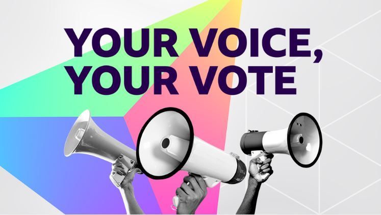 Your Voice, Your Vote graphic