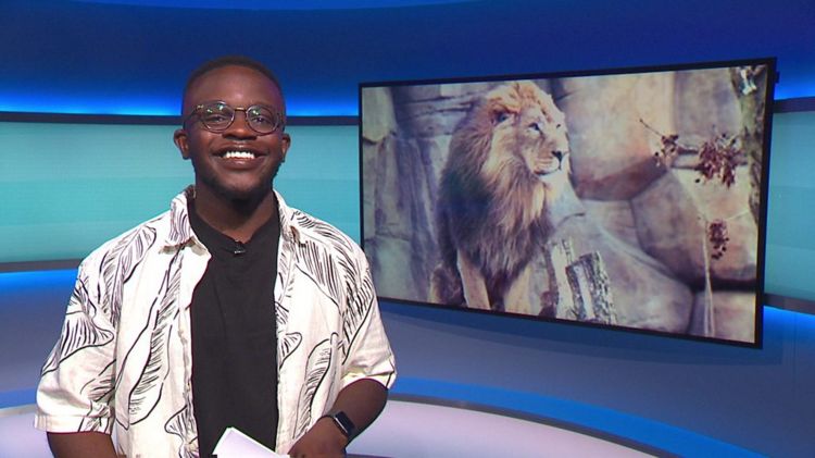 De-Graft on the Newsround set with a picture of a lion