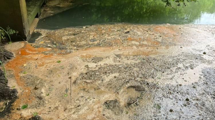 A brown and orange substance floating on the surface of a pool