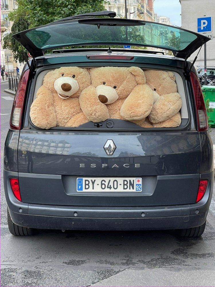 Large teddy bears crammed into the boot of a car in Paris
