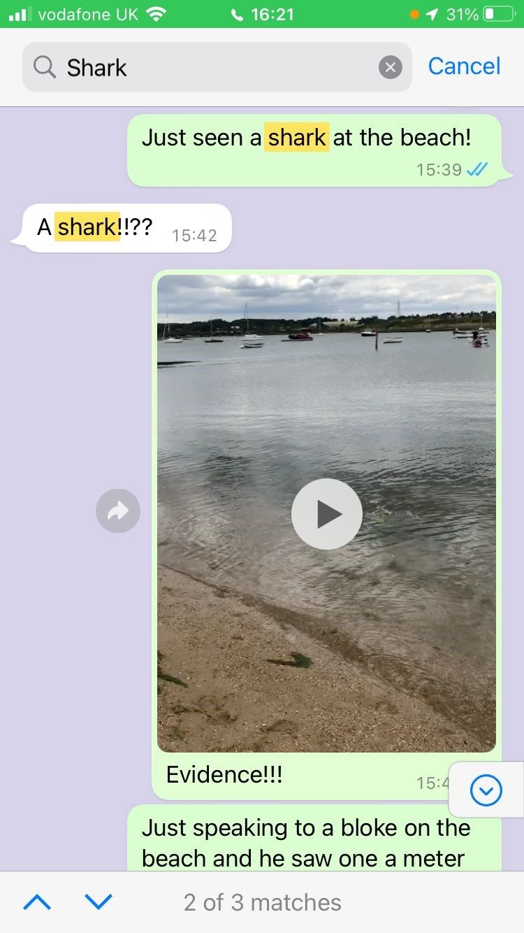 Screen grab of a message sent by Emma Tella to her husband after she spotted a shark