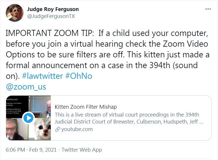 I M Not A Cat Lawyer Uses Zoom Filter By Mistake Cbbc Newsround I M Not A Cat Lawyer Uses Zoom Filter By Mistake Cbbc Newsround