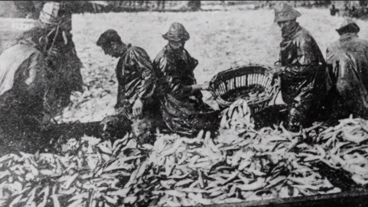 A photograph of pilchard fishermen in St Ives at the dawn of the 20th century