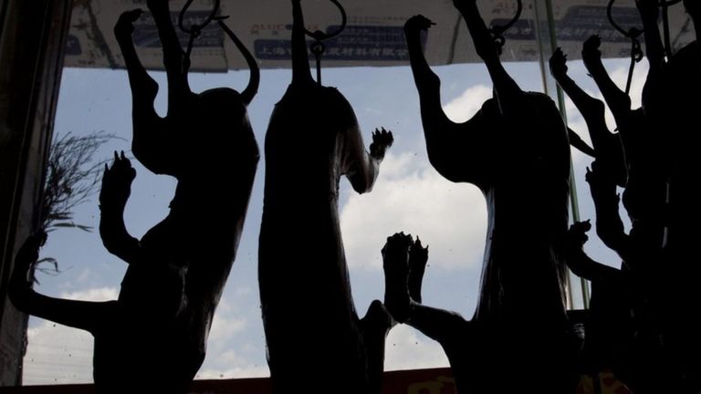 Chó được làm thịt treo tại lễ hội thịt chó Ngọc Lâm năm 2015