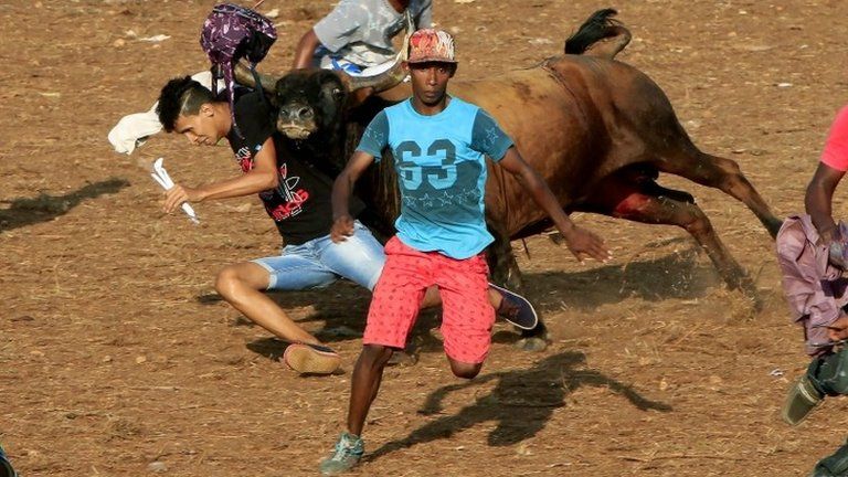 Amateur bullfighting (corraleja) in Turbaco, Colombia