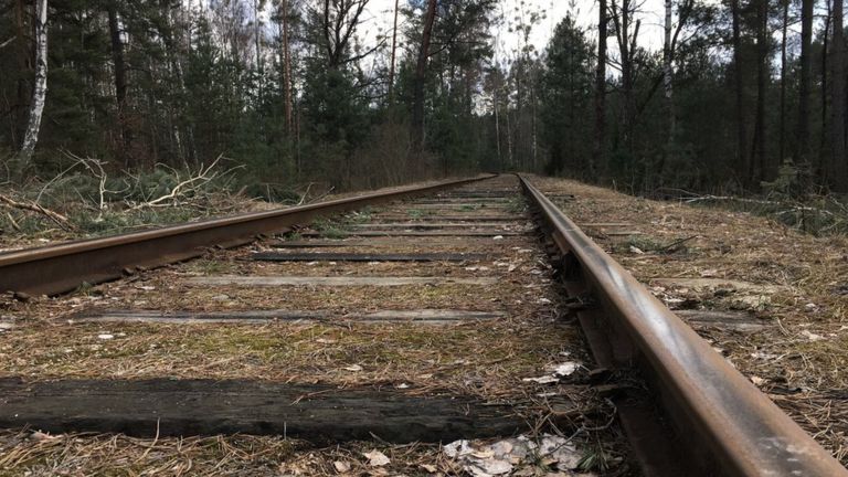 C'est la forêt de Bronnaya Gora où les derniers Juifs de Brest ont été emmenés et assassinés.