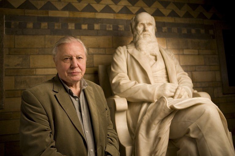Sir David Attenborough with the statue of Charles Darwin at the National history Museum