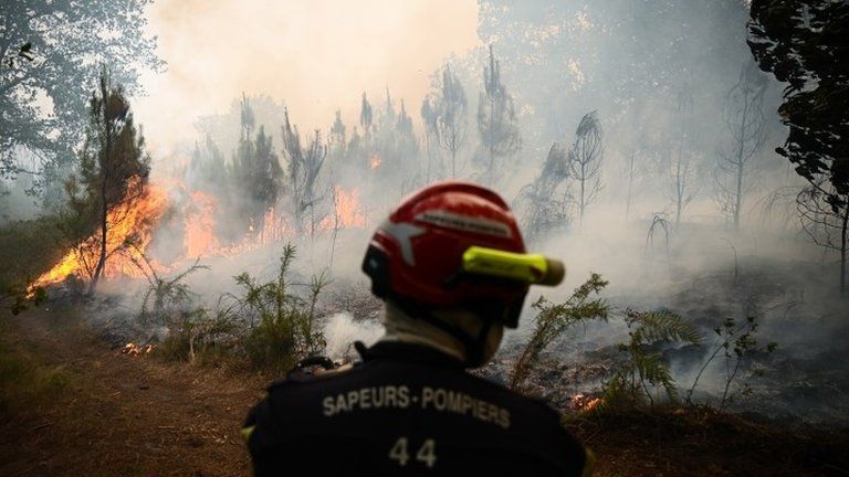 A French firefighter at the scene of a forest fire