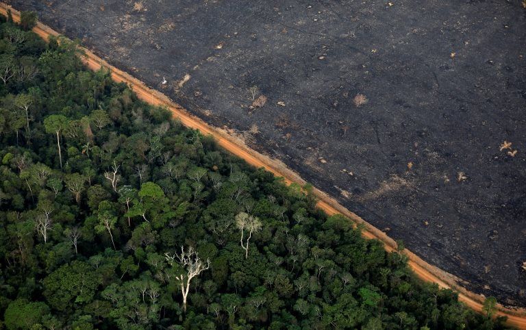 Deforestation Porn Full Video - Brazil's Amazon: Deforestation high in January despite rainy season - BBC  News