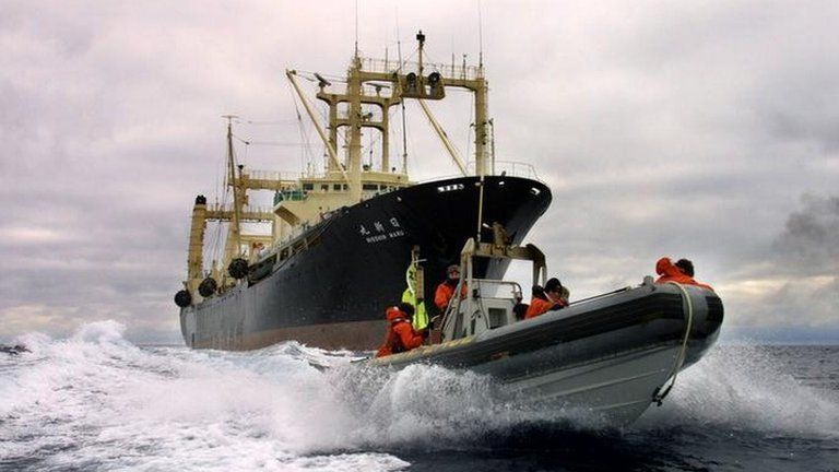 2001 photograph of a Greenpeace speedboat, sailing alongside a Japanese whaling factory ship and using a radio to ask them to cease whaling