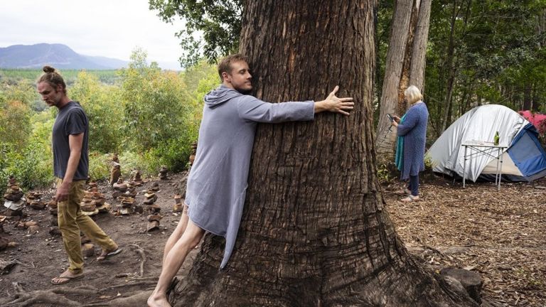 человек обнимает дерево