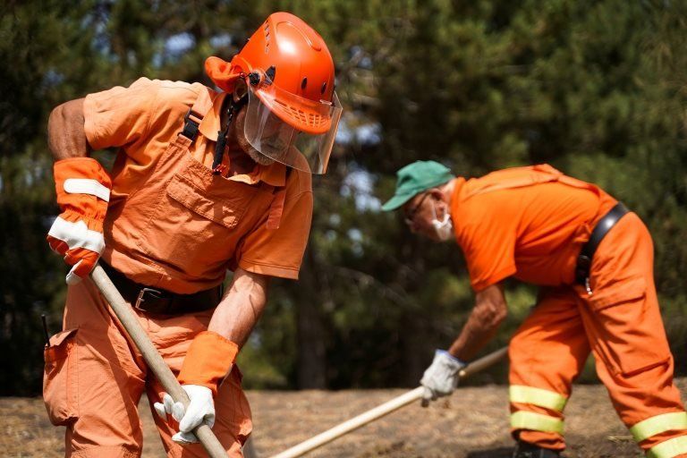 İtalya'da orman yangınları: 3 kişi hayatını kaybetti, Calabria idaresi bölge için OHAL istedi