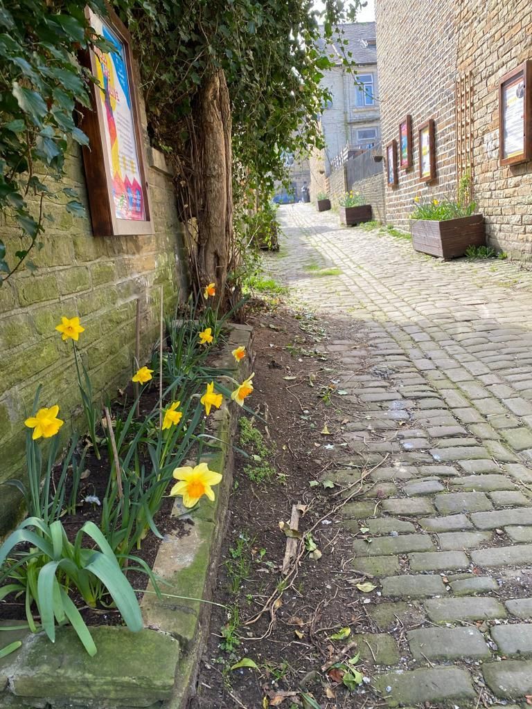 A clean ginnel with daffodils in a flower bed to the left