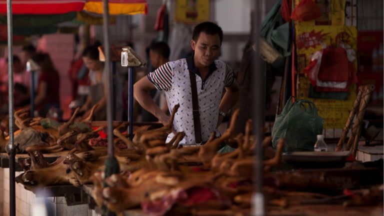 Chó được làm thịt treo bán tại lễ hội thịt chó Ngọc Lâm năm 2015