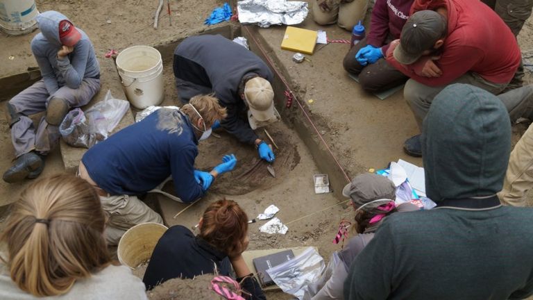 Excavaciones en Upward Sun River, Alaska. Foto: AFP/Nature/Universidad de Alaska Fairbanks/Ben Potter.