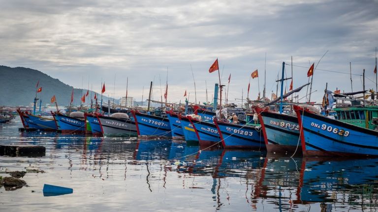 Tàu cá Việt Nam