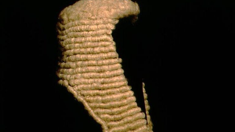 Judge's wig