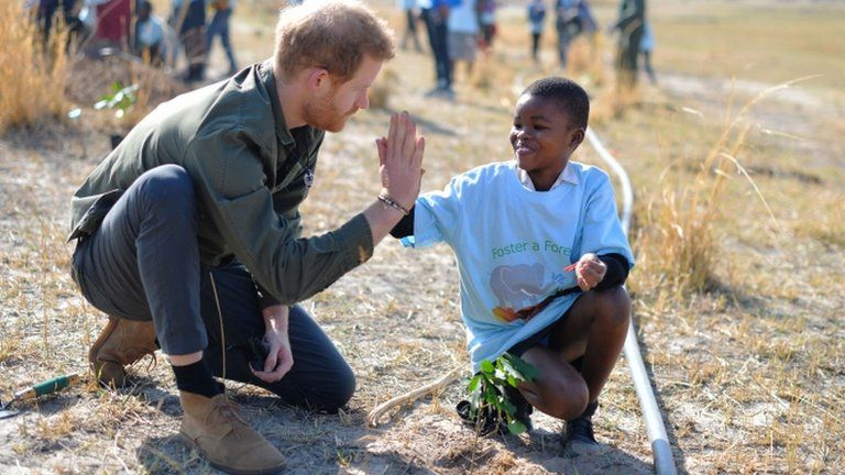 Prince Harry with a child planting trees
