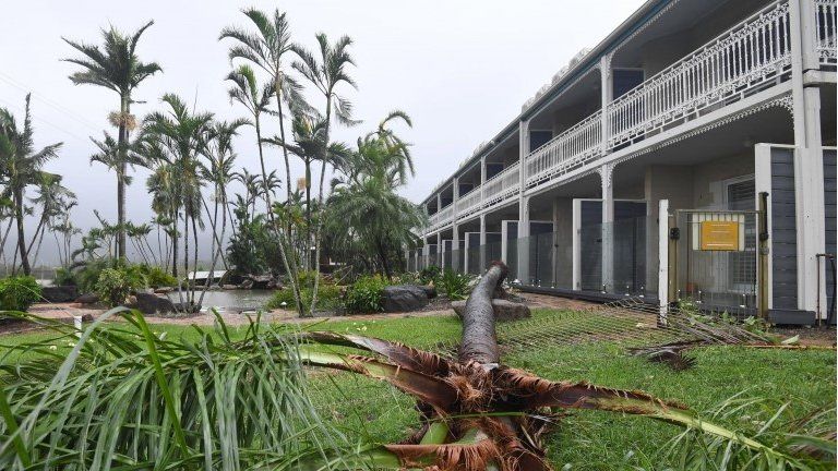 A fallen palm tree lies behind a motel at Airlie Beach, Queensland, Australia, 28 March 2017