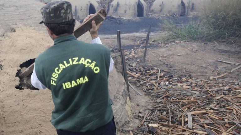 An agent from Brazil's environmental protection agency Ibama destroys clandestine ovens used to make charcoal from wood cut illegally from the Amazon rainforest