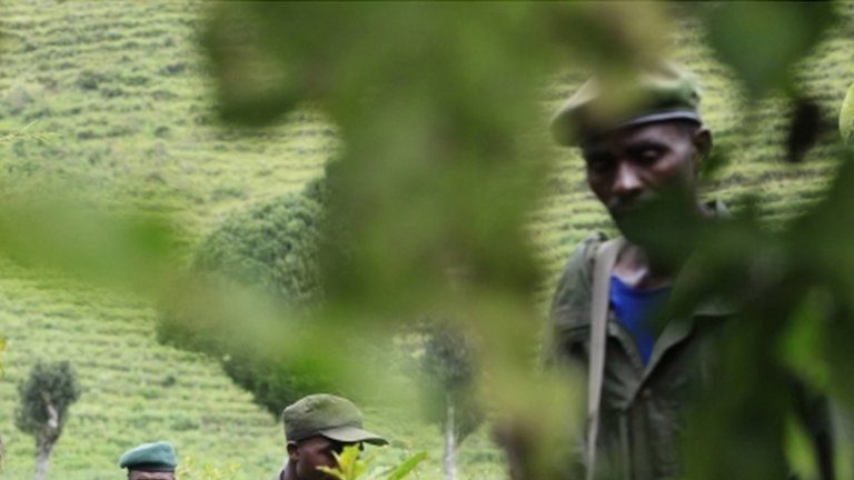 Virunga National Park rangers
