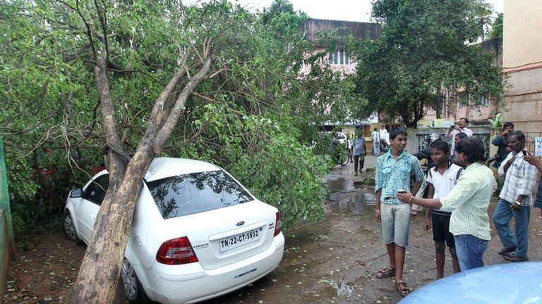 Wind damage in the run-up to Cyclone Nilam in Chennai