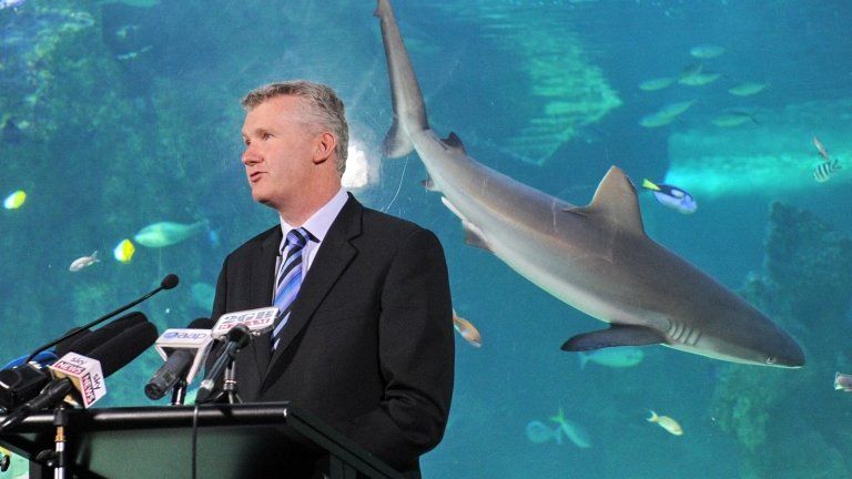 Australian Environment Minister Tony Burke speaks to the media at the Sea Life Sydney Aquarium on November 16, 2012.