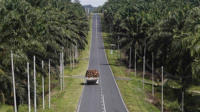 Palm oil truck in Lahad Datu in Malaysia (20 Feb 2013)