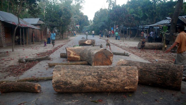 Jamaat-e-Islami activists displayed tree trunks to block a road during a clash with the police in Gaibandha on February 28, 2013.