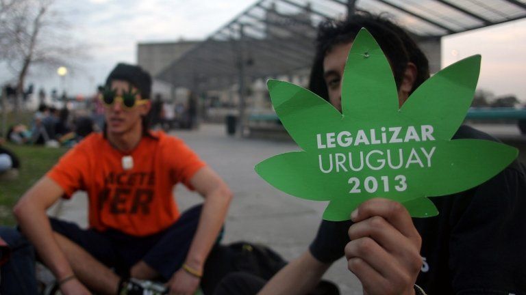 Supporters of a bill legalising marijuana in Montevideo on 31 July 2013