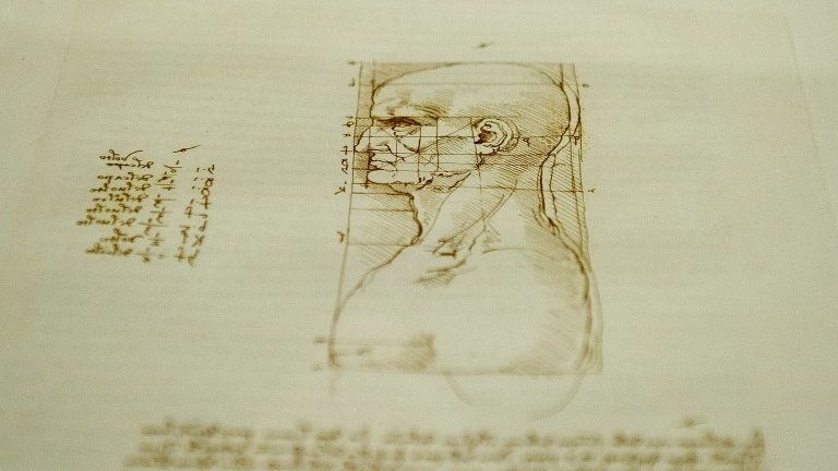 da Vinci drawings