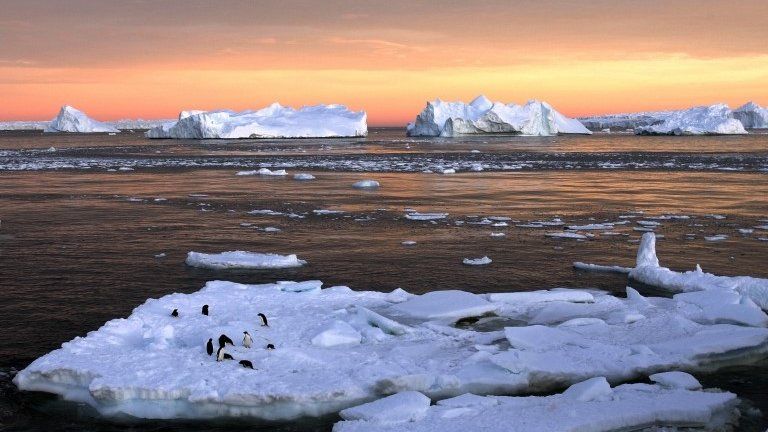 Adelie penguins on an ice floe near the French station at Dumont d’Urville in East Antarctica